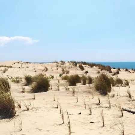 Maison 4 Pieces Pres Et Port La Palmyre - 7 Pers., Wifi, Animaux Ok, Parking, Patio, Menage Inclus - Fr-1-705-36 *