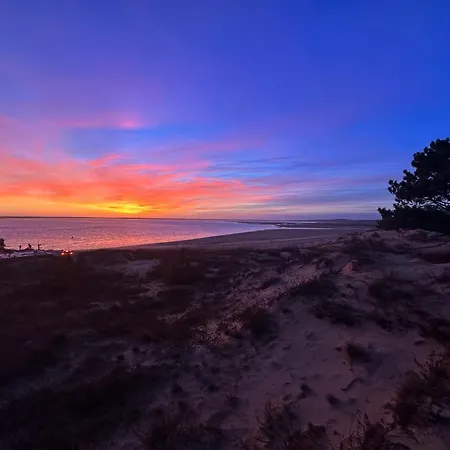 Holiday home Maison 4 Pieces Pres Et Port La Palmyre - 7 Pers., Wifi, Animaux Ok, Parking, Patio, Menage Inclus - Fr-1-705-36 *